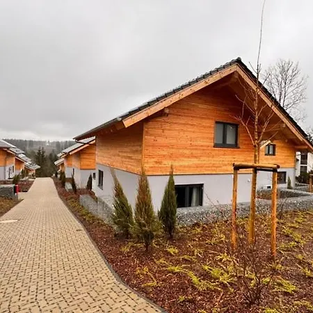 Domek alpejski Hahnenklee Ferienchalets